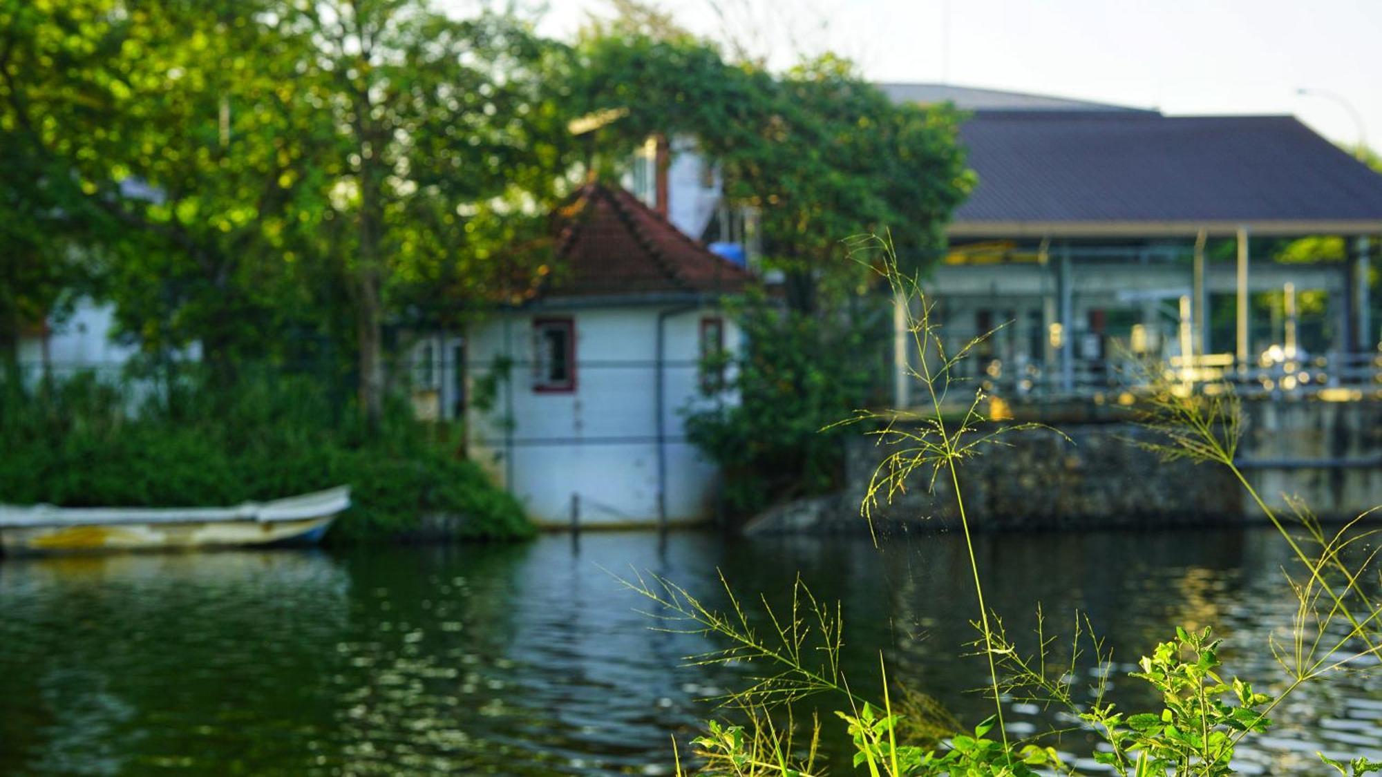 Lake Island Home Stay Dambulla Exteriör bild